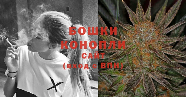 Альфа ПВП Аркадак
