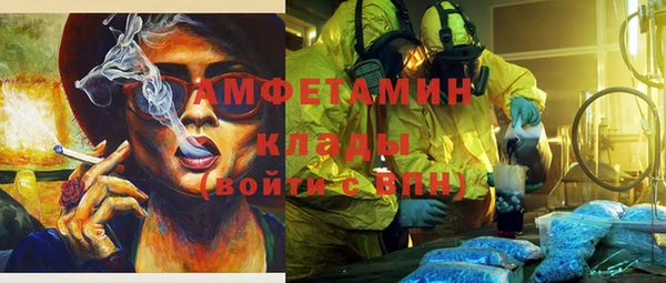 PSILOCYBIN Козловка